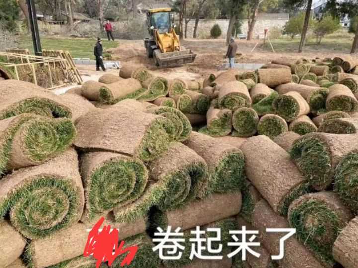 学习 Photoshop 或者网页设计,有哪些网站值得推荐?
