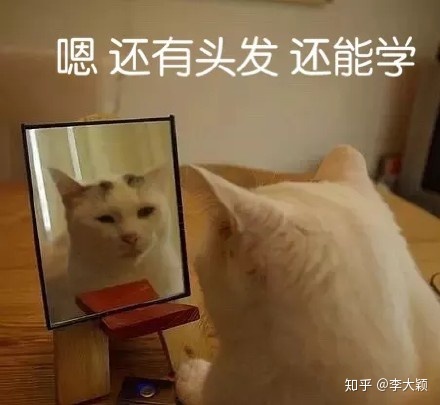 有哪些高质量的自学网站?
