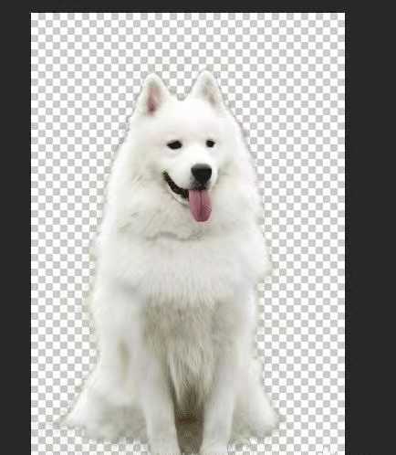 学习 Photoshop 或者网页设计,有哪些网站值得推荐?
