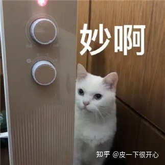 哪里有免费PPT模板下载？