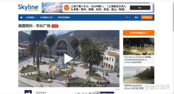 你都见过什么奇奇怪怪的网站?
