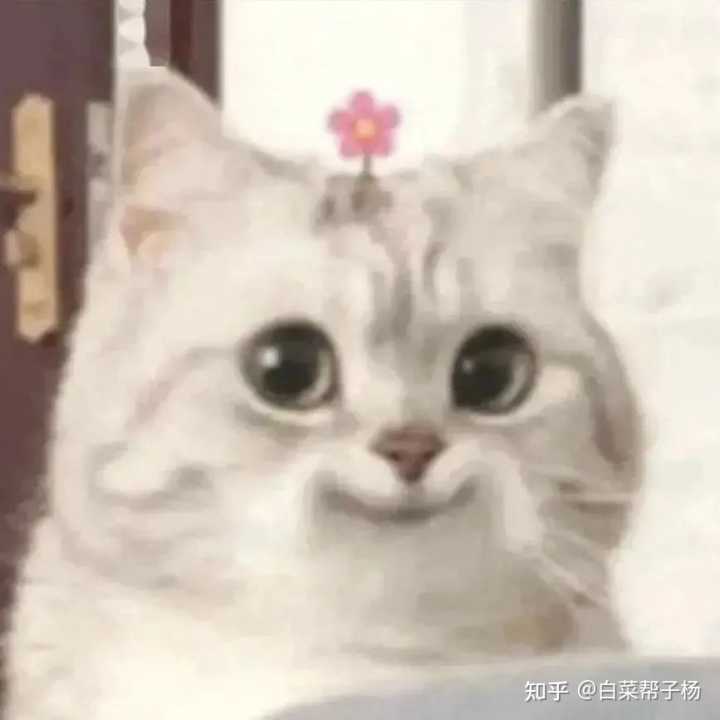 有哪些好用却不为人知的电影网站值得推荐？