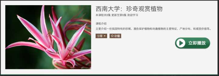 有哪些值得推荐的学习网站?
