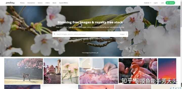 有什么软件或网站是你逢人必推的?