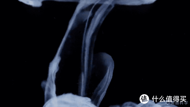 分享10个高质量的免费学习网站,第一个超强却很少有人推荐!_软件应用_好用的网站资源分享