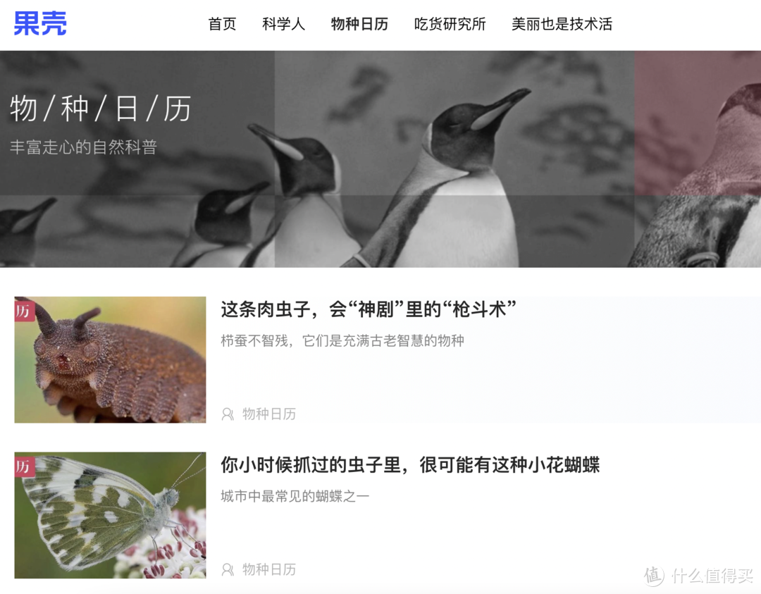 分享10个高质量的免费学习网站,第一个超强却很少有人推荐!_软件应用_好用的网站资源分享