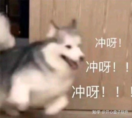 有什么免费在线视频提取音频的网站推荐吗?