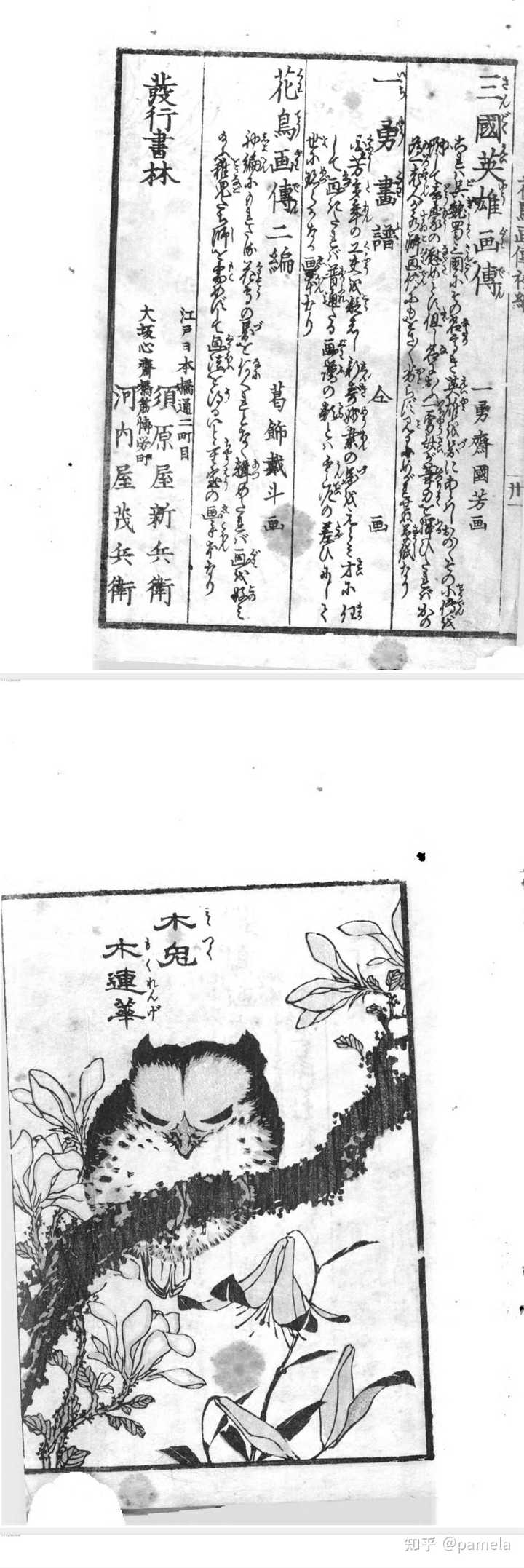 有哪些比较全的在线古籍查找网站?