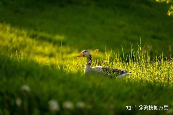 有哪些高质量的自学网站?