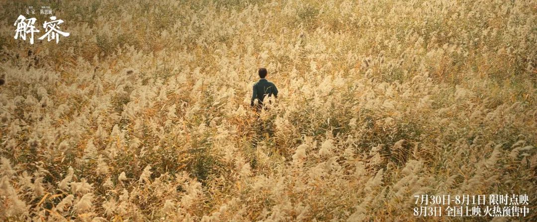 陈思诚新作《解密》背后细思极恐的10个细节,你看懂了吗?