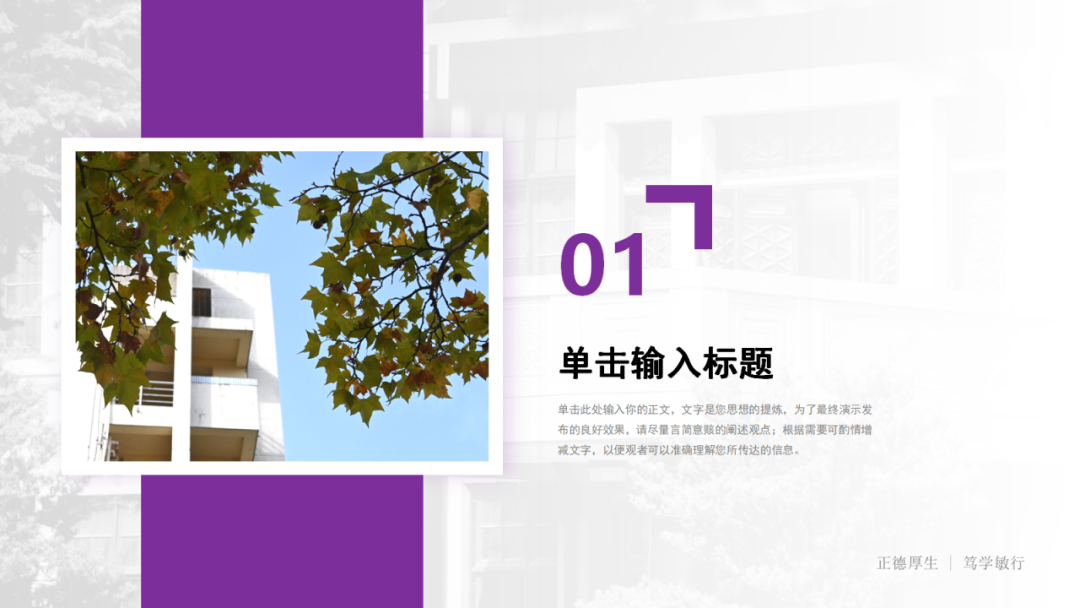 好看又实用!南师专属PPT模板上新啦!
