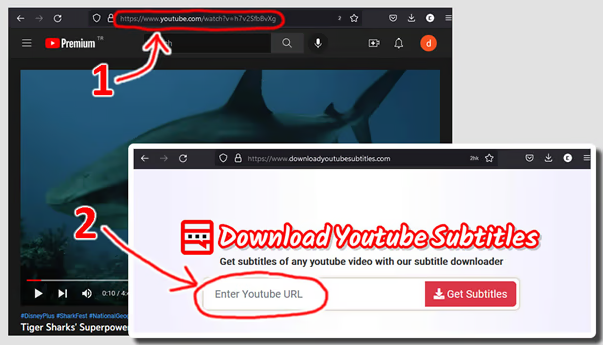 YouTube视频字幕下载器