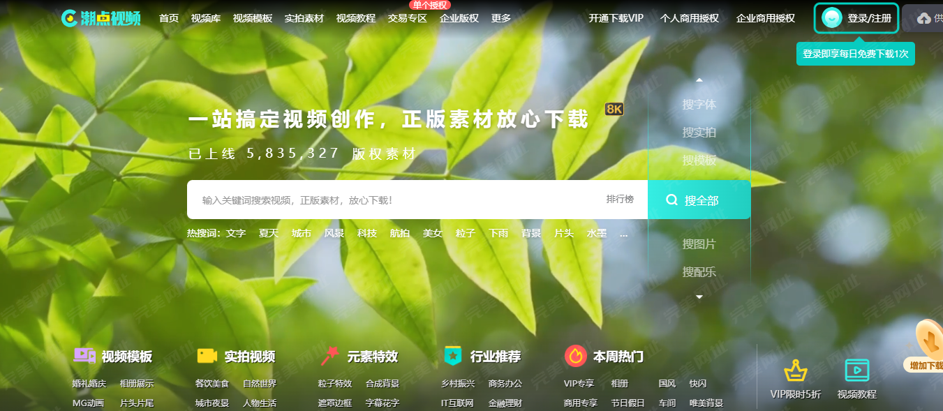 12个免费无版权视频素材网站,视频剪辑一定要知道!(2025 年最新资源合集)